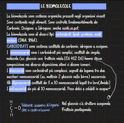 Les Biomolécules: Carbohydrates, Lipides, Protéines et Acides Nucléiques PDF