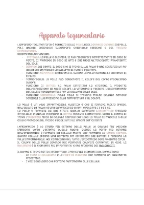 Apparato Tegumentario: Schema Facile e Riassunto per Scuola Media con Anatomia e Funzioni della Pelle