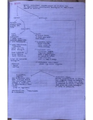 Simple Guide: What Are Biomes and Ecosystems for Primary School