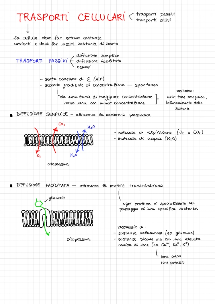 Trasporto Cellulare: Schema e Riassunto di Diffusione e Osmosi