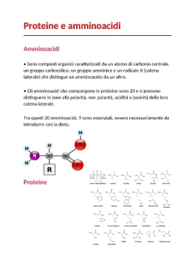 Strutture delle proteine: semplice spiegazione