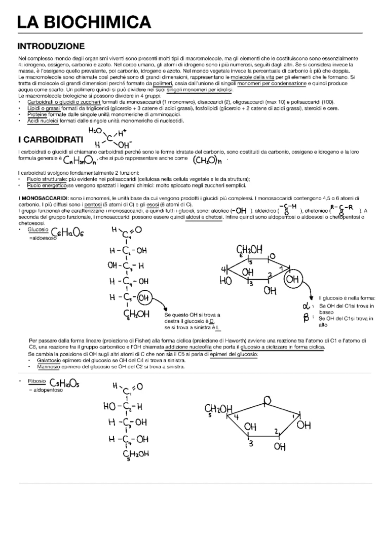 Understanding Glucose Metabolism: Simple Guide for Kids