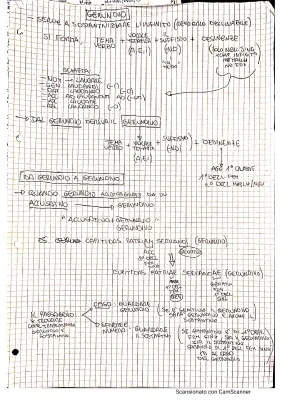 Gerundio e Gerundivo Latino PDF con Esercizi e Schemi