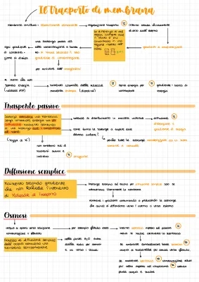 Trasporto di membrana: attivo, passivo, osmosi e diffusione