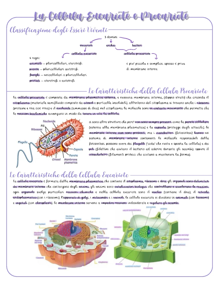 Differenze tra Cellula Eucariote e Procariote - Riassunto e Schema Facile