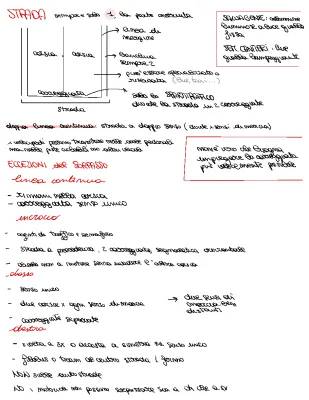 Guida Divertente alla Patente: Quiz e Teoria in PDF Gratis!