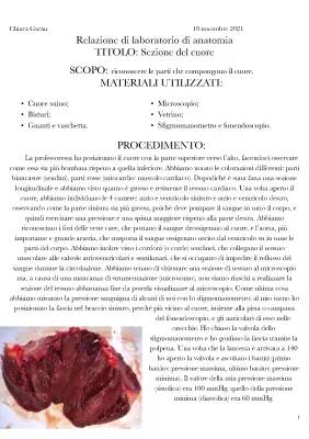 Relazione di laboratorio: Dissezione del cuore di maiale - Anatomia e Differenze con il cuore umano