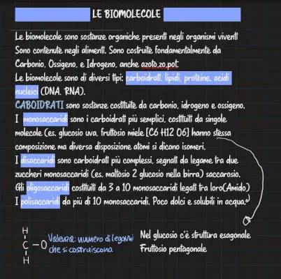 Scopri i Carboidrati e Acidi Nucleici: Esempi e Struttura per Ragazzi