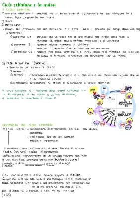 Mitosi e Meiosi Zanichelli Spiegazione Semplice + Ciclo Cellulare PDF