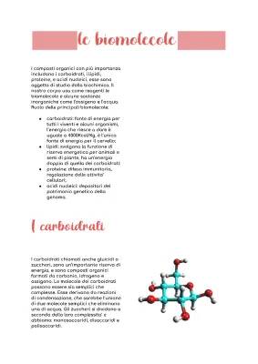 Scopri le Biomolecole: Struttura, Funzione e Dove Trovarle