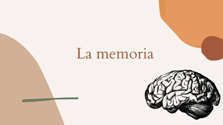 Scopri la Memoria a Breve e Lungo Termine: Esercizi Divertenti e Curiosità!