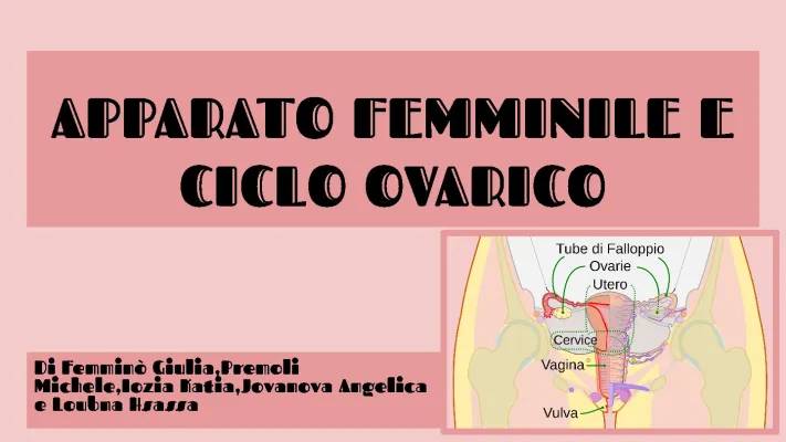 Ciclo ovarico