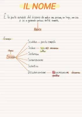 Il nome in grammatica per scuola primaria e media - Spiegazione facile e esempi PDF