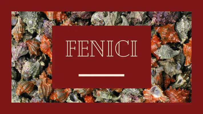 I Fenici: Storia per la Scuola Primaria e Riassunto PDF