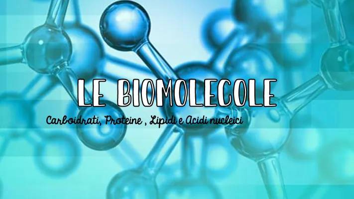 Macromolecole Biologiche: Riassunti e Schemi PDF per Scoprire le Molecole Organiche!