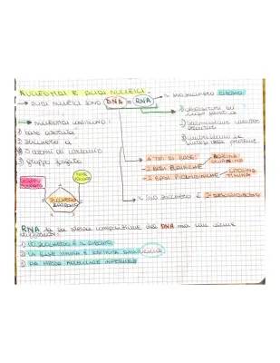 DNA e RNA: Spiegazioni Semplici e Mappe Concettuali per Ragazzi