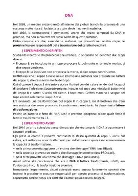 Scopri gli Esperimenti di Avery, Griffith e Hershey: Trasformazione Batterica e DNA in Parole Semplici