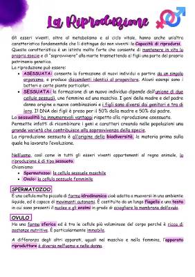 Apparato Riproduttore: Schema e Tipi di Riproduzione Sessuale e Asessuale per Scuola Primaria