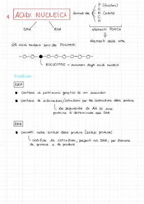 Acidi Nucleici: Struttura e Funzione di DNA e RNA Spiegazione Semplice