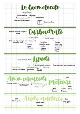 Le molecole biologiche: riassunto in PDF e mappa concettuale
