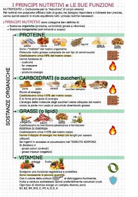 I principi nutritivi: riassunto e schema