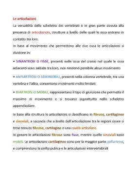 Le articolazioni: schema e riassunto