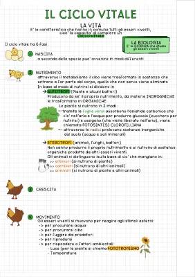 Le fasi della vita: 5 fasi del ciclo vitale degli esseri viventi e 4 fasi del ciclo di vita del prodotto