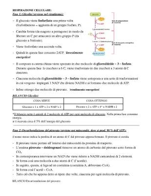 Respirazione Cellulare e Decarbossilazione Ossidativa del Piruvato: Schema Facile