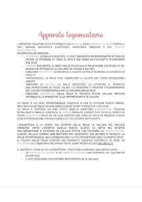 Apparato Tegumentario: Schema Facile e Riassunto per Scuola Media con Anatomia e Funzioni della Pelle