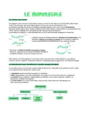 Scopri le Biomolecole: Acidi Nucleici e Carboidrati per Bambini!