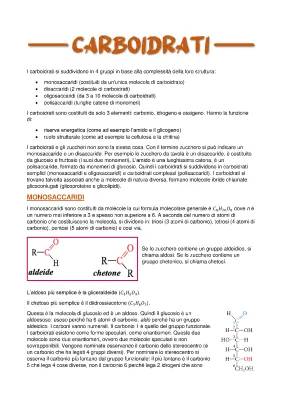 I Carboidrati per Bambini: Facile Riassunto PDF e Tabella Alimenti