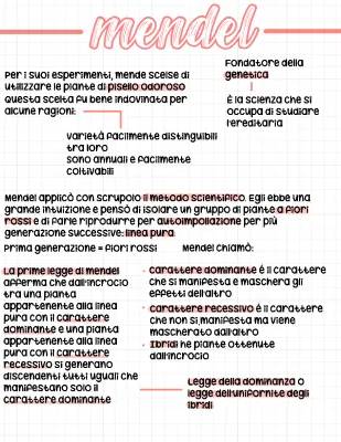 Le Leggi di Mendel: Schema Facile e Spiegazione Semplice per Bambini