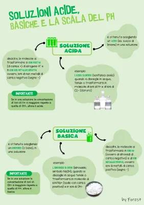 Esempi di Soluzioni Acide e Basiche: Scala del pH e Indicatori