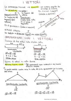 Scopri le Operazioni e Formule con i Vettori: Esercizi Svolti e PDF per Bambini