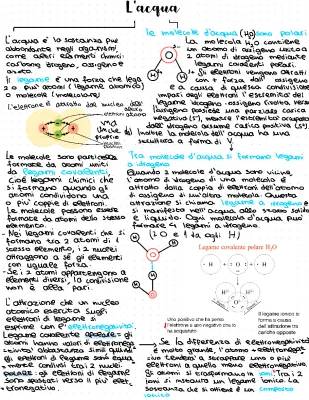 Scopri le Magiche Proprietà dell'Acqua: Legami, Calore e Caratteristiche!