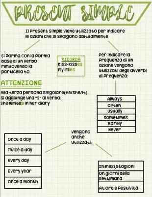 Impara il Present Simple e il Present Continuous con tante frasi ed eccezioni