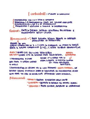 Scopri le Biomolecole: Carboidrati, Lipidi e Proteine in Semplici Parole