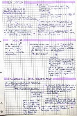 Differenza tra Massa e Peso, Cifre Significative e Densità: Scopri le Regole e Formule