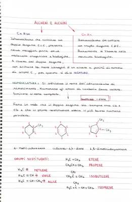 Chimica Organica Spiegata Facile: Schema e Reazioni PDF