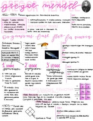 Le Leggi di Mendel: Schema Facile e Riassunti per la Scuola Media