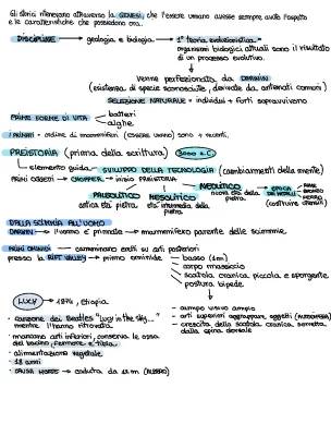 L'Evoluzione dell'Uomo: Schema e Riassunto Semplificato