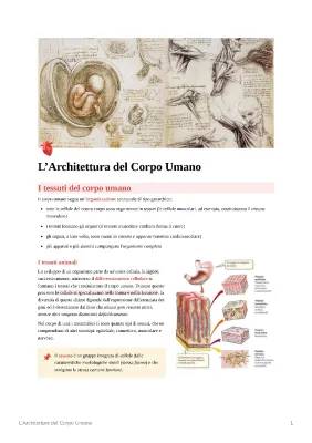 Organizzazione del Corpo Umano e Tessuti - PDF e Mappe per la Scuola Media