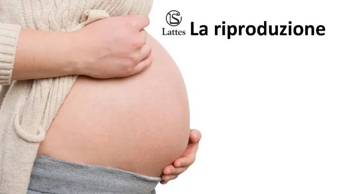 La riproduzione 