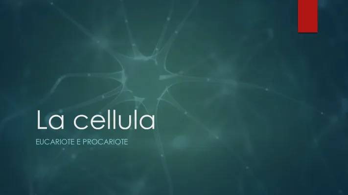 Evoluzione della Cellula: Dalla Procariote alla Eucariote e Differenze tra Cellula Animale e Vegetale