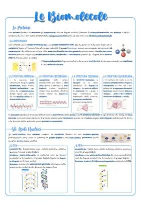 Scopri le Strutture delle Proteine e Acidi Nucleici per Bambini