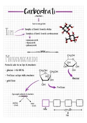 carboidrati, proteine, lipidi e acidi nucleici 