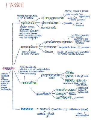 Tessuti del corpo umano: PDF, mappa concettuale, riassunto