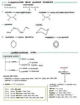 All About Molecules: Branches, Alkanes, Alkenes!