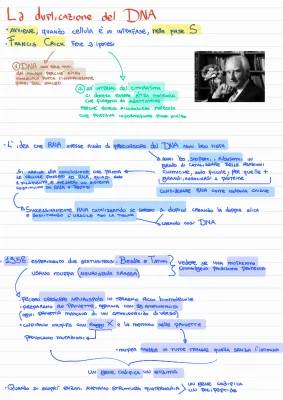 Duplicazione e Replicazione del DNA: Spiegazione Semplice e Mappa Concettuale