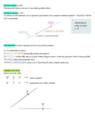 I Vettori in Fisica: Riassunto e Esercizi Semplici per Te